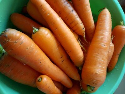 Лот: 16536384. Фото: 1. Морковь мытая. Овощи, фрукты, зелень