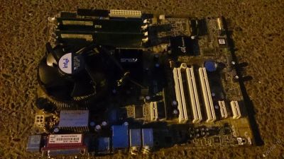 Лот: 5703087. Фото: 1. Материнская плата ASUS P5GD1 PRO... Материнские платы