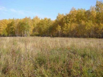 Лот: 988420. Фото: 1. Земельный участок 3км от Солнечного. Земельные участки