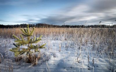 Лот: 25296159. Фото: 1. участок , посёлок городского типа... Земельные участки