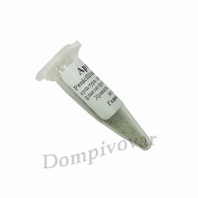 Лот: 16417882. Фото: 1. Плесень Penicillium Roqueforti... Молоко и молочные продукты