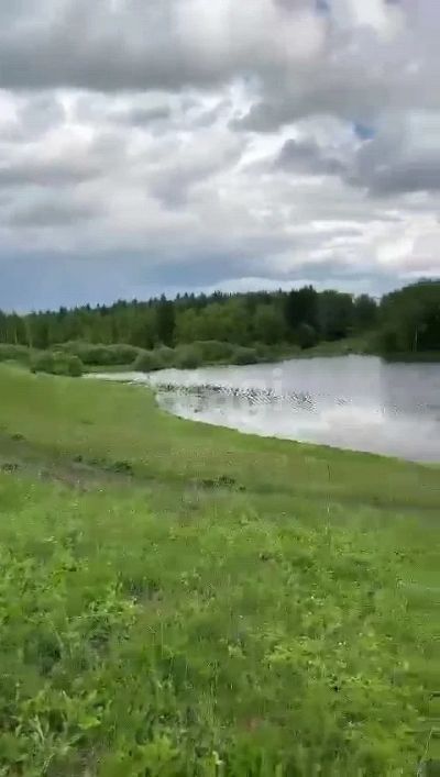 Лот: 19064735. Фото: 1. Продам участок 34777.4 сот. Северо-Енисейский... Земельные участки