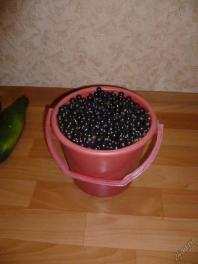Лот: 5870615. Фото: 1. Смородина черная . Цена за 1 литр... Ягоды, орехи
