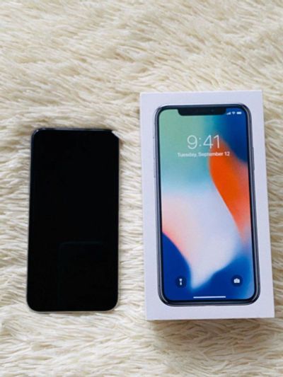 Лот: 15245532. Фото: 1. iPhone X 64GB (Silver / Серебристый... Смартфоны