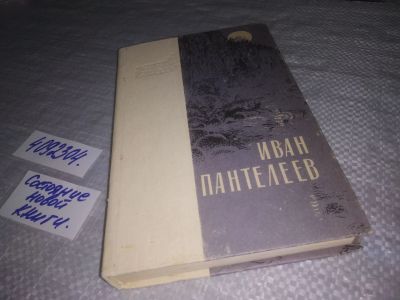 Лот: 24394557. Фото: 1. oz (4092304) Пантелеев Иван, На... Художественная