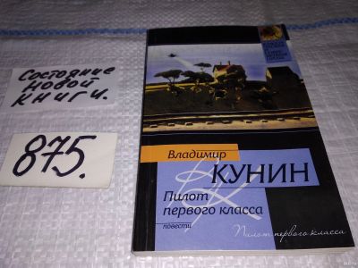 Лот: 13556508. Фото: 1. оз...(16..08) Пилот первого класса... Художественная