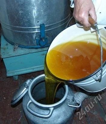 Лот: 2903142. Фото: 1. 15 июня 2025 года. Первый и единственный... Мёд, продукты пчеловодства