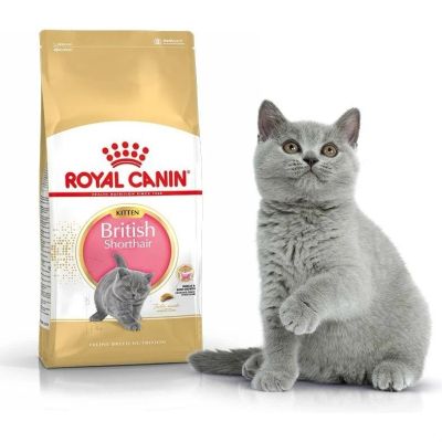 Лот: 14285444. Фото: 1. Корм Royal Canin(Роял Канин) для... Корма