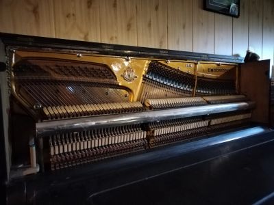 Лот: 20595066. Фото: 1. Пианино. Клавишные