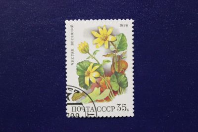 Лот: 6855867. Фото: 1. Почтовая марка №4059 в коллекцию. Марки
