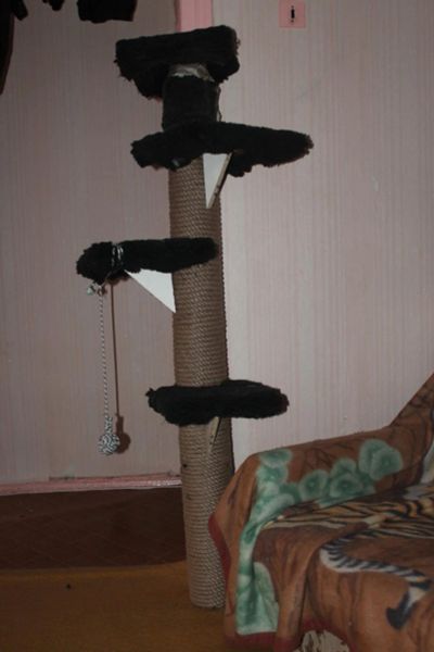 Лот: 6842627. Фото: 1. Когтеточка с полочками. Домики, переноски, клетки, когтеточки