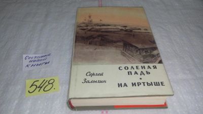 Лот: 10449010. Фото: 1. Соленая падь. На Иртыше, Сергей... Художественная