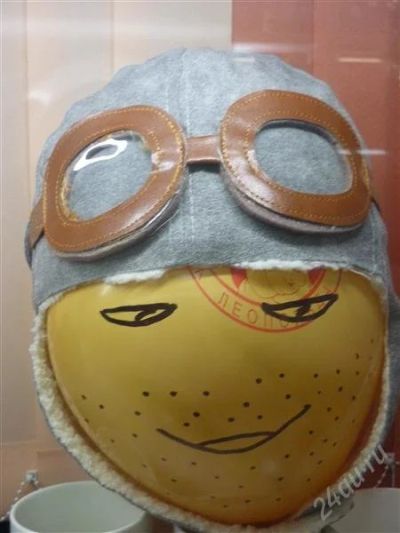 Лот: 1395387. Фото: 1. Шлем летчика "Crazy Frog". Другое (сувениры, подарки)