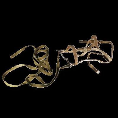 Лот: 11469975. Фото: 1. Узда ременная. Другое (растения и животные)