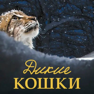 Лот: 24291086. Фото: 1. Дикие кошки. Видеозаписи, фильмы