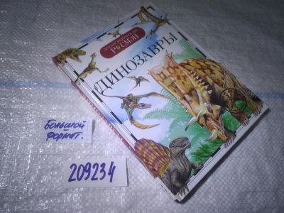 Лот: 25412403. Фото: 1. вб/oz(209234)Рысакова Ирина. Динозавры... Познавательная литература