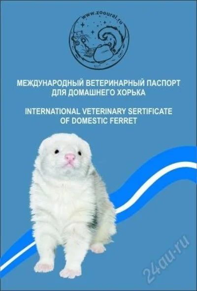 Лот: 1145659. Фото: 1. паспорт для хорька (международный... Другое (животные и уход)