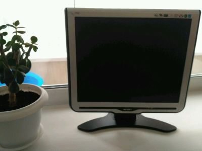 Лот: 9824921. Фото: 1. Монитор Philips (серебряный-чёрный... ЖК-мониторы