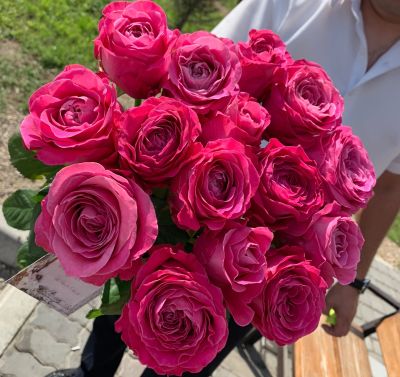 Лот: 16454388. Фото: 1. Букет пионовидных роз «Поцелуй... Свежие цветы