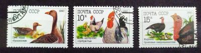 Лот: 22826555. Фото: 1. СССР 1990 Домашние птицы SW-5901-5903... Марки