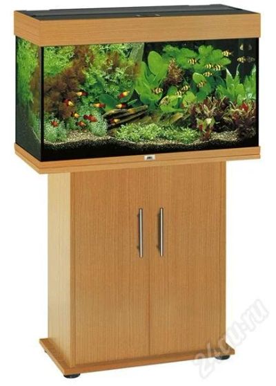 Лот: 22873. Фото: 1. Аквариум аналог Juwel Rio 125... Красноярск