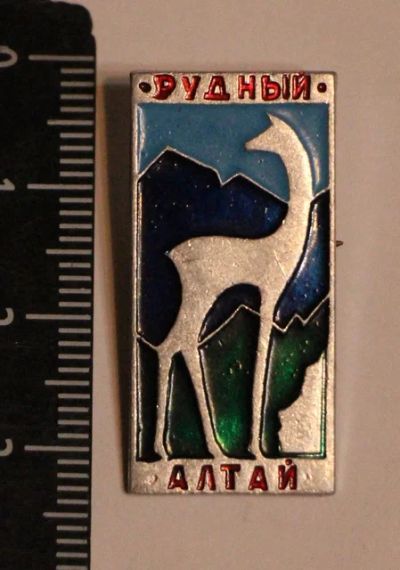 Лот: 11497005. Фото: 1. Значок: Рудный. Алтай. (Пл. Туризм... Сувенирные