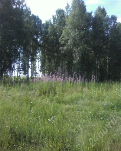 Лот: 347612. Фото: 1. Срочно!Участок,в районе Экскаваторного... Земельные участки