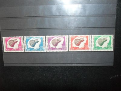 Лот: 10059393. Фото: 1. Чистый Парагвай. 5 марок 1963... Марки