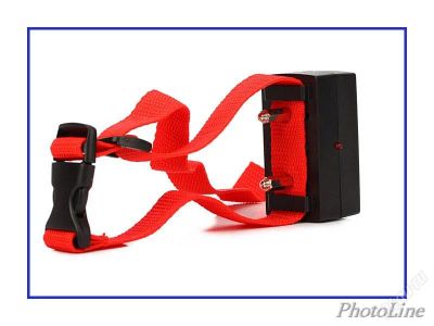 Лот: 3139783. Фото: 1. продам б/у ошейник, отличное качество... Ошейники, одежда, конное снаряжение