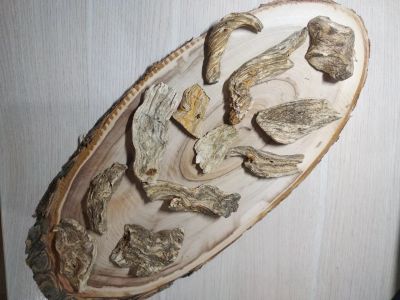 Лот: 17192170. Фото: 1. Молочай Палласа (корень) 50г. Народная медицина, БАДы