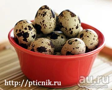 Лот: 8869552. Фото: 1. яйцо инкубационное перепелинное. Птицы
