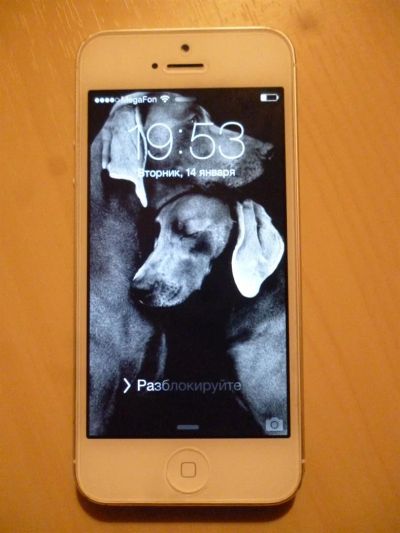 Лот: 3602786. Фото: 1. IPhone 5, 16Gb, White. На гарантии... Смартфоны