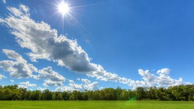 Лот: 6928342. Фото: 1. Земля сельхозназначения 12 га... Земельные участки