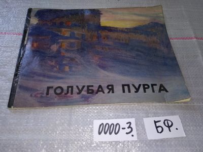 Лот: 16183901. Фото: 1. Голубая пурга. альбом...Художник... Изобразительное искусство