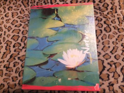 Лот: 4856841. Фото: 1. Тетрадь в клетку, 48 л., 001. Другое (учёба (школа, вуз))