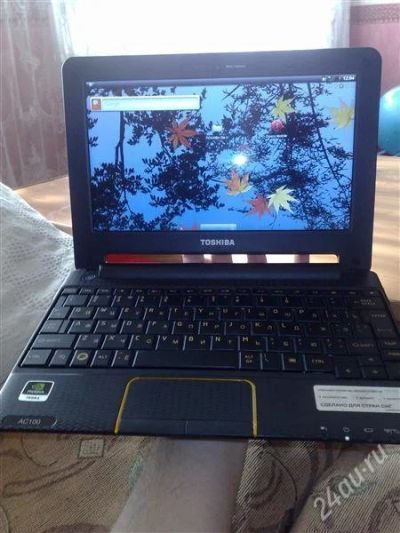 Лот: 1793882. Фото: 1. Нетбук Toshiba AC 100. Ноутбуки