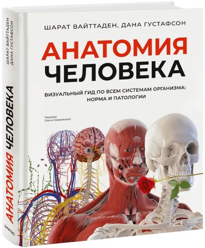 Лот: 24458519. Фото: 1. Анатомия человека. Популярная и народная медицина