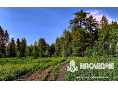 Лот: 5219744. Фото: 1. Куплю земельный участок (дачу... Земельные участки