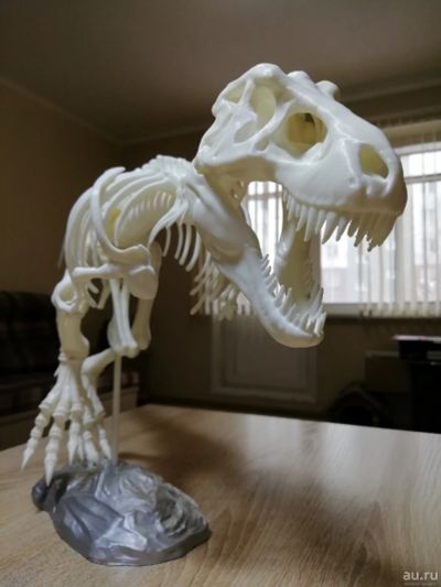 Лот: 15601459. Фото: 1. 3Д Модель динозавра. Тиранозавр... Другое (коллекционирование, моделизм)