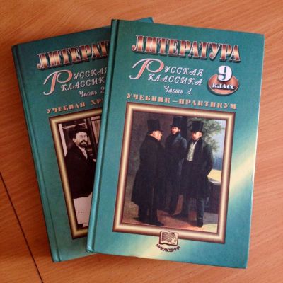 Лот: 6292480. Фото: 1. литература 9 класс. Для школы