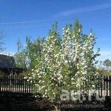 Лот: 10369372. Фото: 1. Дача. Дачи