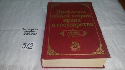 Лот: 10134775. Фото: 1. Проблемы общей теории права и... Юриспруденция