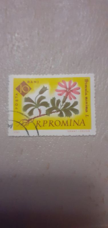 Лот: 22489815. Фото: 1. Марка 126. Марки