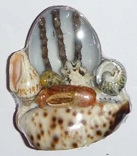 Лот: 537122. Фото: 1. Крабик на тигрисе. Ракушки, раковины... Другое (сувениры, подарки)