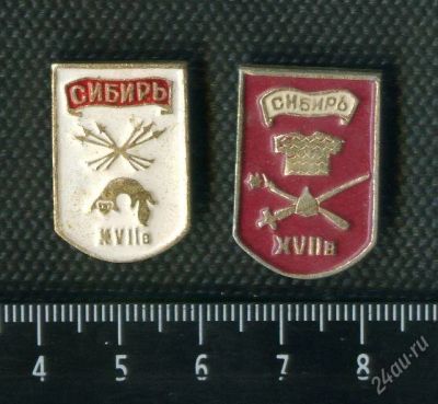 Лот: 2442447. Фото: 1. (№2015) значки сибирь (2шт). Памятные медали