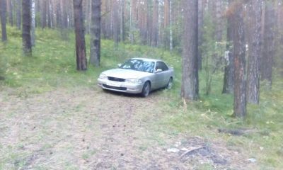 Лот: 10233660. Фото: 1. хонда инспаир. Автомобили