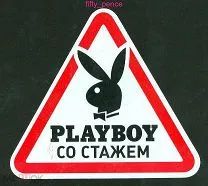 Лот: 23523489. Фото: 1. наклейка на заднее стекло авто. Другое (автозапчасти)