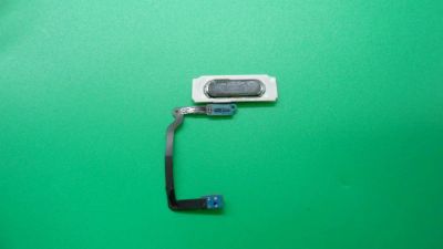 Лот: 9671518. Фото: 1. кнопка Home со шлейфом Samsung... Шлейфы, разъёмы