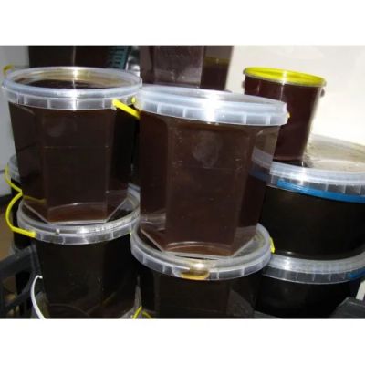 Лот: 3622227. Фото: 1. Мёд. Дягиль или Сосново-Кедровый... Мёд, продукты пчеловодства