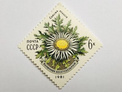 Лот: 23316419. Фото: 1. Цветы Карпат. Колючник бесстебельный... Марки